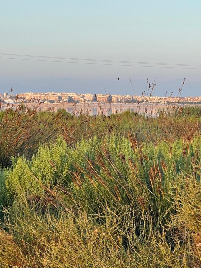 Apartamento Exclusivo Y Central Torrevieja Zewnętrze zdjęcie